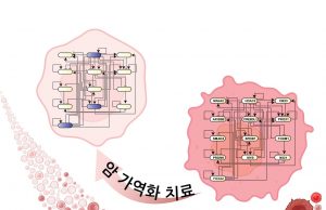“암세포 죽이지 않고 정상세포로 되돌려 부작용 없이 치료한다”
