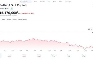 루피아 환율, 1달러당 16,170 루피아 기록