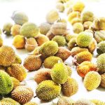 ▲ 두리안 Durian