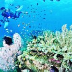 ▲발리-레스-관광마을-환경교육-관광-681×489