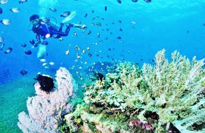 발리, 관광객 넘쳐나는 쓰레기로 몸살