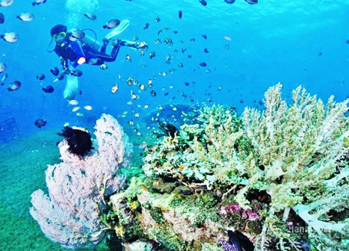 발리, 관광객 넘쳐나는 쓰레기로 몸살