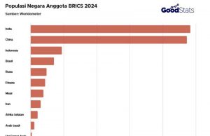 인도네시아, 브릭스 회원국 중 인구 3위 차지