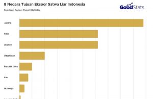 인도네시아 야생동물 수출 8번째 국가… “보존의 균형 모색해야”