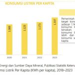 ▲인도네시아 연도별 전기 소비량
