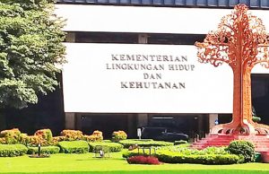 인도네시아, 2025년 1월 첫 해외 탄소거래 시장 개설