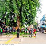 ▲자카르타 가로수 정비