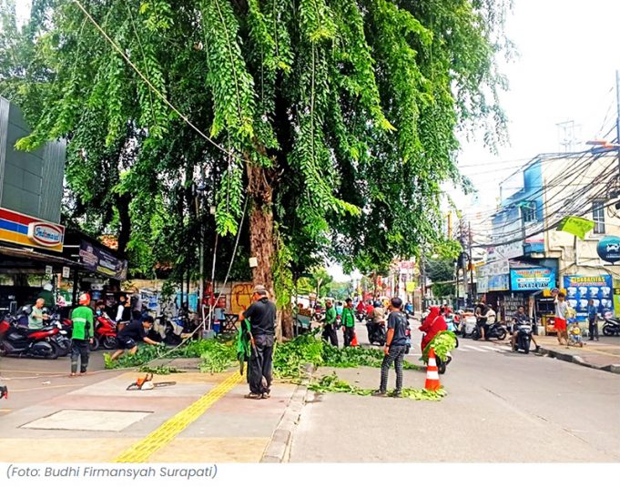 자카르타, 강풍 폭우 대비 가로수 정비 완료