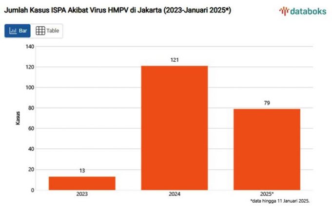 자카르타, 급성 호흡기 감염병 HMPV 환자 214명 급증세