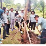 ▲자카르타시 공원녹지국은 정도 500주년을 맞아 희귀 수종 500그루 식재 발표