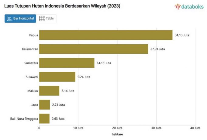 2023년 인도네시아 산림 면적 50.68%… “19년보다 늘어”
