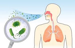 인도네시아서 호흡기 감염병 (hMPV) 첫 발생… 보건장관 “불안감 가질 필요 없어”