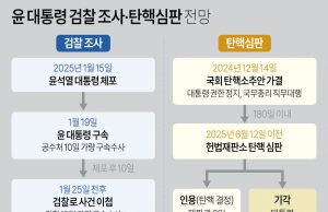 그래프로 보는 윤 대통령 구속·검찰 조사·탄핵심판 전망
