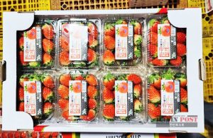 K-드라마 인기에 한국 딸기 ‘과일 한류’ 이끈다