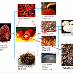 팜 커널 펠릿 껍질