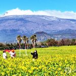 PYH2025021708240005600_P4