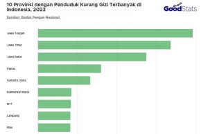 인도네시아 인구 8.53% 여전히 영양 부족