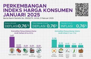 2025년 1월 소비자물가 0.76% 상승… 주택·연료 가격 하락 영향