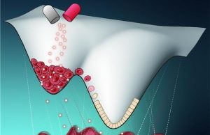 “암세포를 정상세포로 되돌린다”…가역치료 실험으로 증명