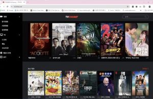 베트남서 K-콘텐츠 불법 사이트 운영 2명 구속 기소
