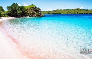 핑크 비치 보존의 가치