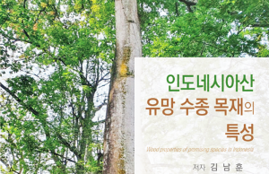 트럼프, 목재에 ‘25%관세’ 수순