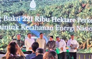 두타 팔마 그룹 팜농장 22만 1천 헥타르 압수