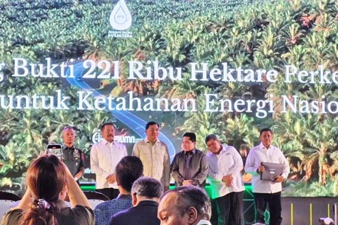 두타 팔마 그룹 팜농장 22만 1천 헥타르 압수