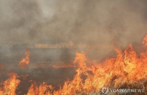 사진으로 보는 경북 북부 산불 사태… 의성산불 사망자 15명으로 늘어
