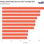 국가별 자연 재해별 순위