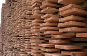 인도네시아 “수출 목재, 합법성·지속가능성·추적성 보장”