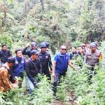 브로모 텡게르 스메루 국립공원내 대마 재배지 발견. 2025.3.19사진Arsip Polres Lumajang