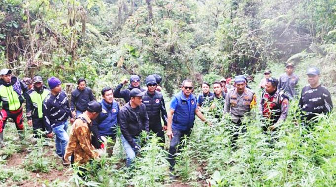 브로모 국립공원 내 대규모 대마초 재배지 발견