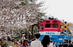 진해군항제 개막