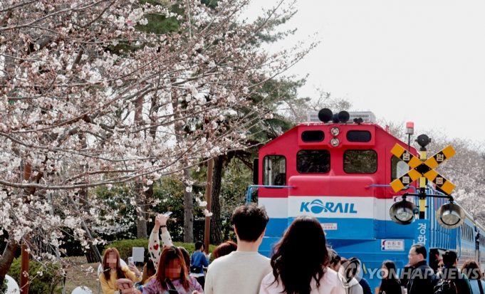 진해군항제 개막