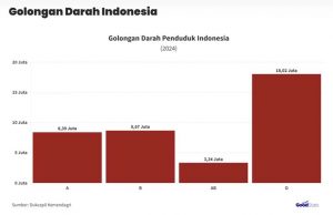 인도네시아 혈액형 분포 현황: O형 최다, AB형 최소