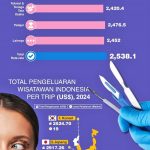 ▲인도네시아 여행자 피부 미용 해외 시술에 평균 4,200만 루피아 지출