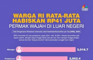 피부 미용 해외 시술 평균 4,200만 루피아 지출