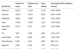 인도네시아, 세계 최대 산호 서식지 보유… ‘산호 삼각지대’의 핵심 국가로 부상