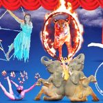 타만 사파리 인도네시아(Taman Safari Indonesia) 오리엔탈 서커스 인도네시아(OCI)