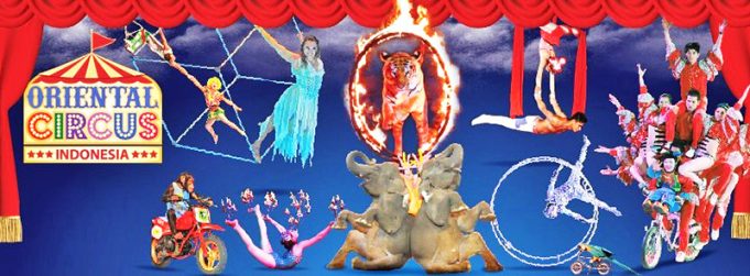 “수년간 고문·착취 당했다” 타만 사파리 서커스 고발