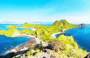 인도네시아의 보물섬, 코모도 아일랜드