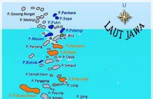 자카르타 특별주, 고양이 섬 장기 개발 요청