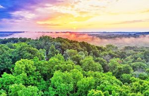 우리는 왜 열대우림을 보호해야 하는가