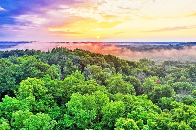 우리는 왜 열대우림을 보호해야 하는가