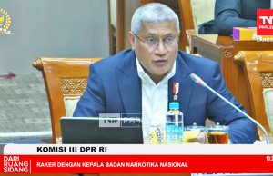 마약청, 의료용 대마초 연구 착수 “헌법적 의무 이행”