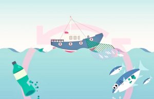 인도네시아, 미세 플라스틱 섭취 세계 최고 수준, 대책은?