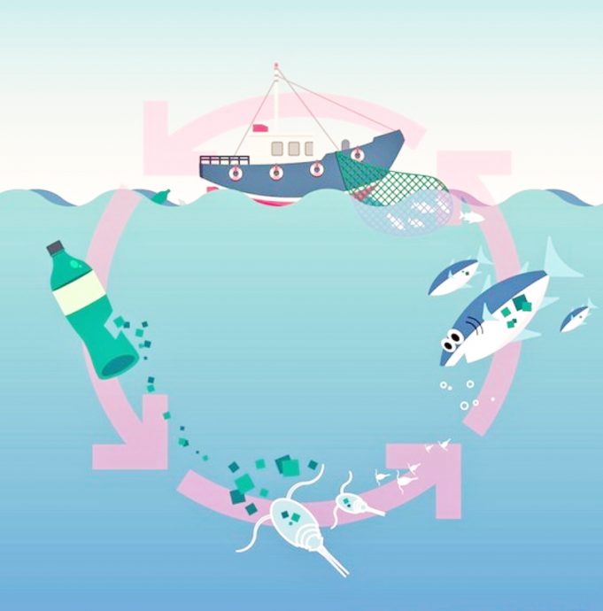 인도네시아, 미세 플라스틱 섭취 세계 최고 수준, 대책은?