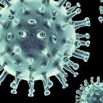 ▲ Covid-19의 새로운 변종인 Omicron EG.5.1 일명 ‘Eris’ 버이러스 모형도