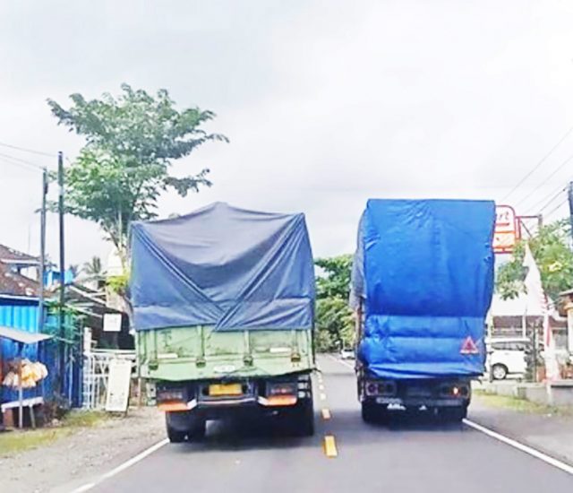 과대과적 (Over Dimension and Over Loading, 이하 ODOL) 트럭